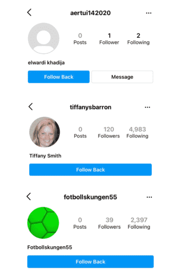 examples of fake followers