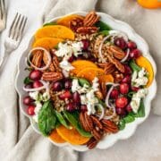 close up shot of persimmon and cranberry salad