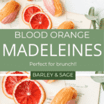 blood orange madeleines pin