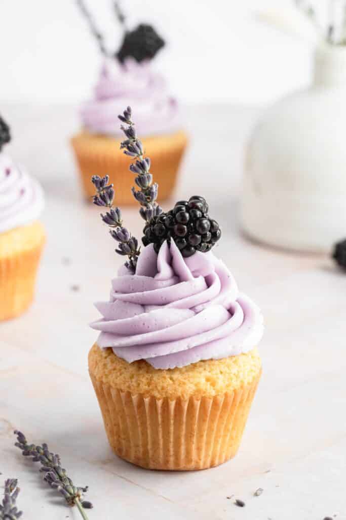 blackberry lavender cupcakes close up