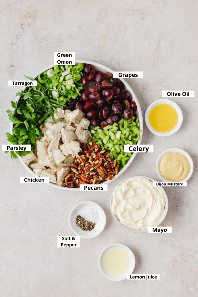labeled shot of chicken salad ingredients 