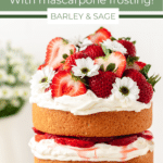 strawberry shortcake cake pin