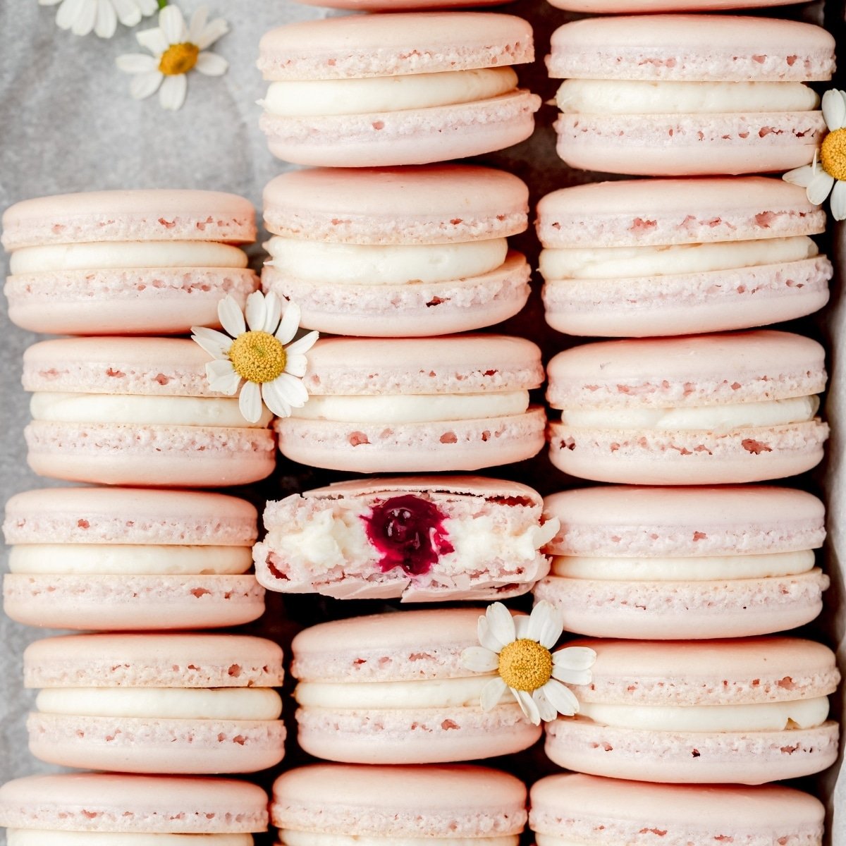 blueberry mascarpone macarons with blueberry jam