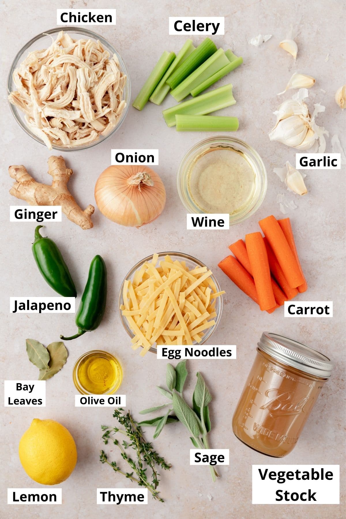 labeled shot of ingredients for chicken noodle soup