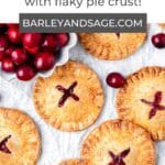 cranberry hand pies pin