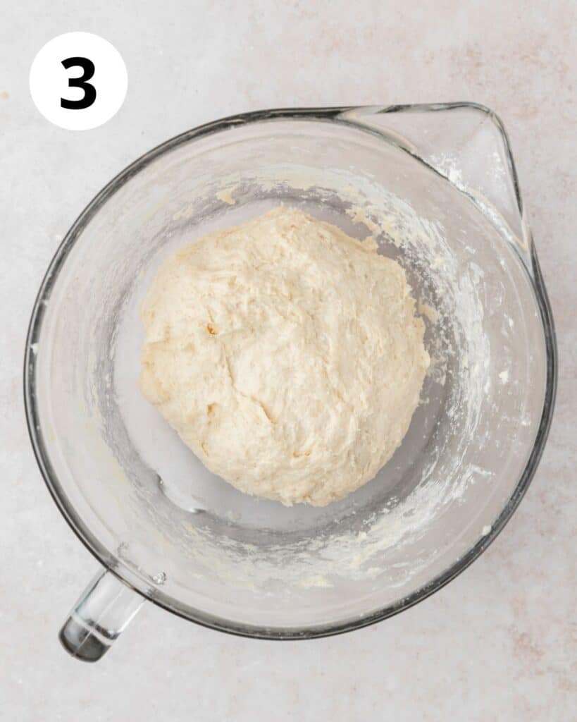 tortilla dough before kneading.