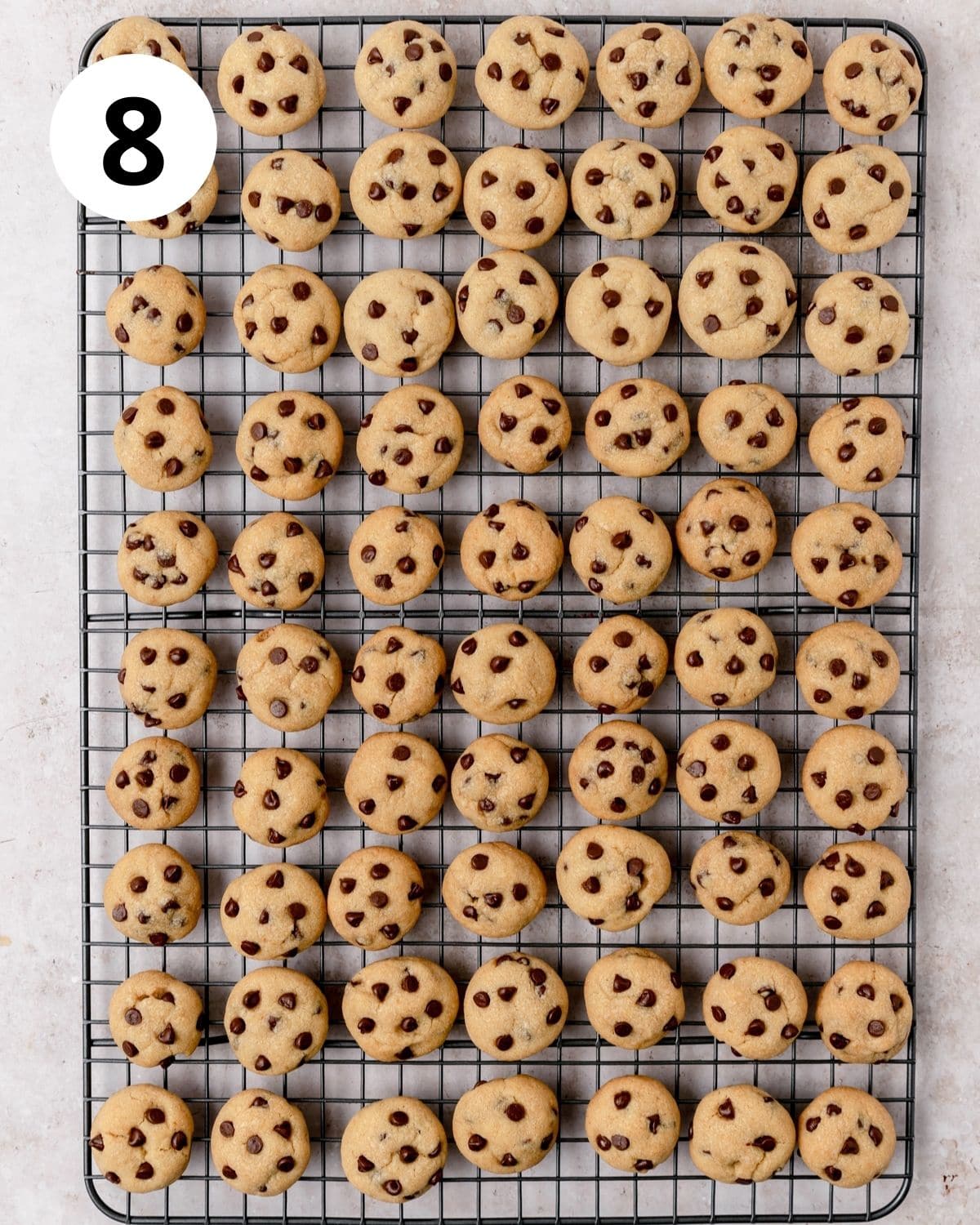 mini chocolate chip cookies on cooling rack