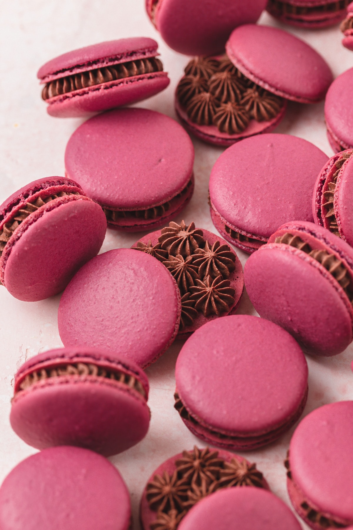 red wine macarons with whipped chocolate ganache.
