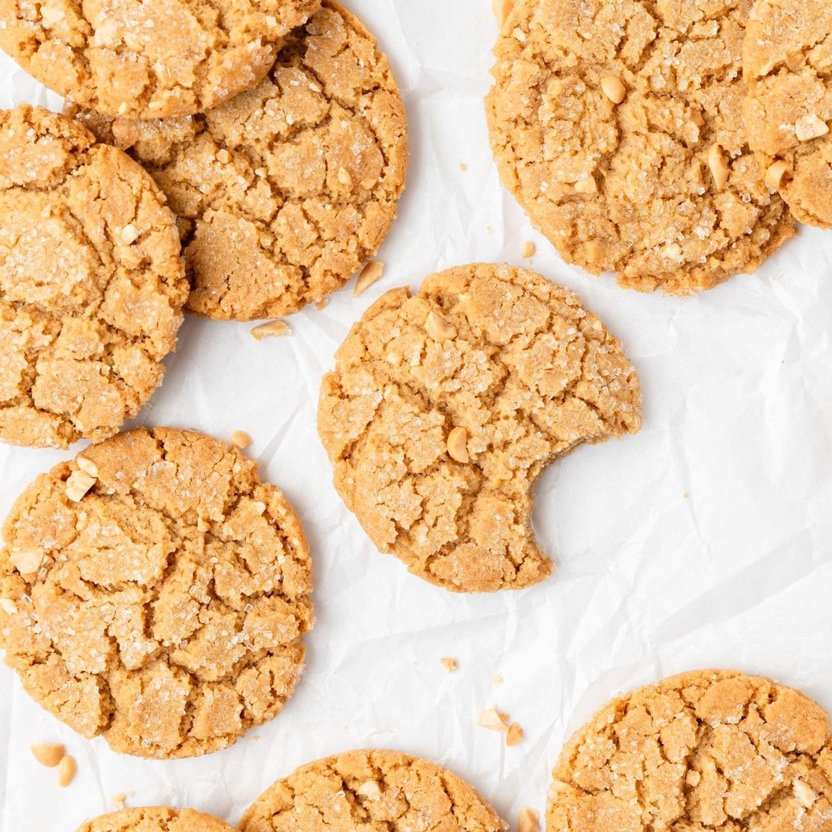 close up shot of chewy peanut butter cookies.