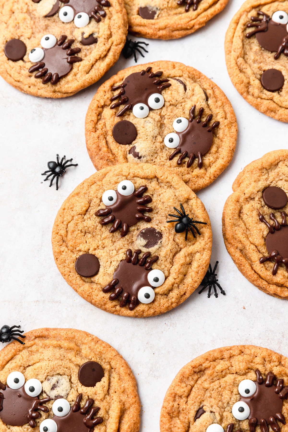 spider chocolate chip cookies with pumpkin puree.