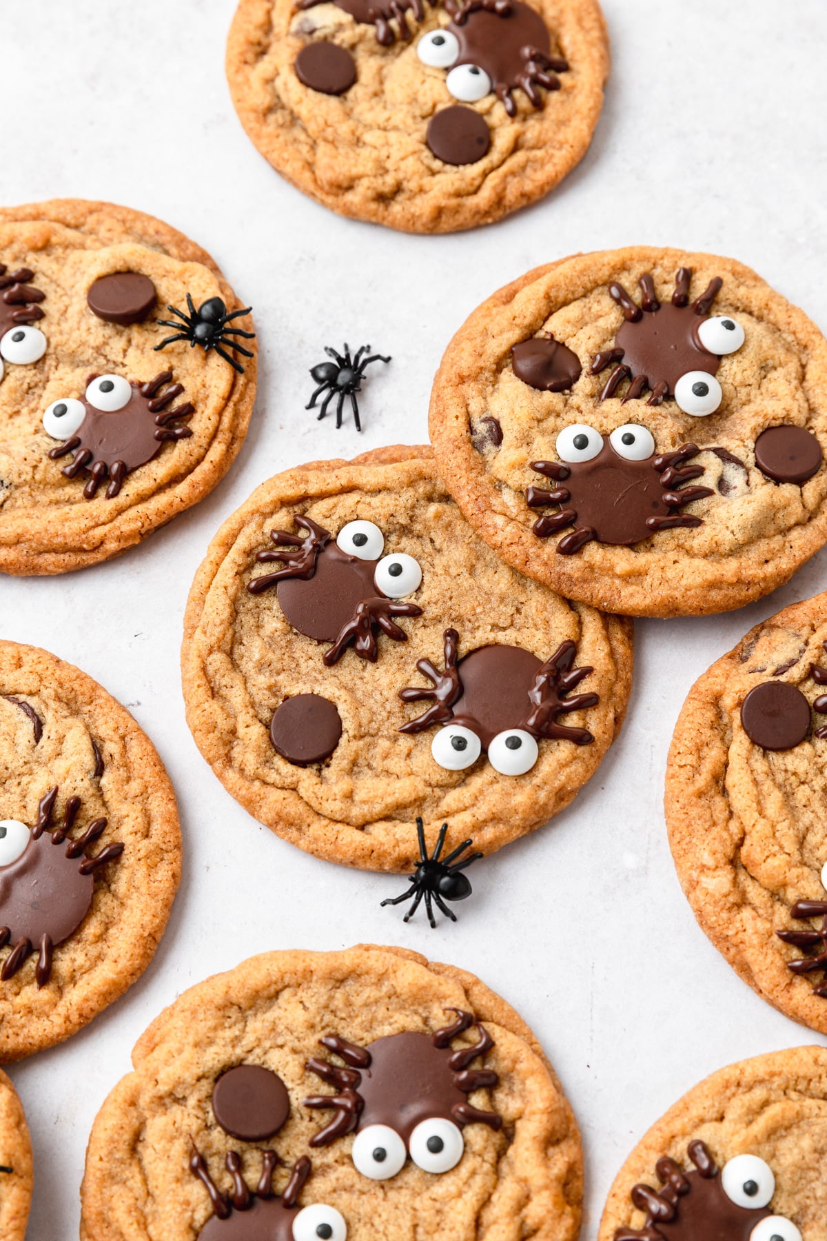 pumpkin chocolate chip cookies with candy spiders.
