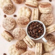 close up shot of tiramisu macarons with dusting of cocoa powder.