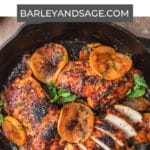 roasted harissa and persimmon chicken pin.