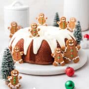 close up shot of gingerbread bundt cake.