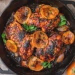 close up of roasted harissa and persimmon chicken.