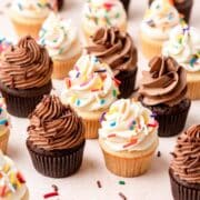 close up shot of mini cupcakes (chocolate and vanilla).