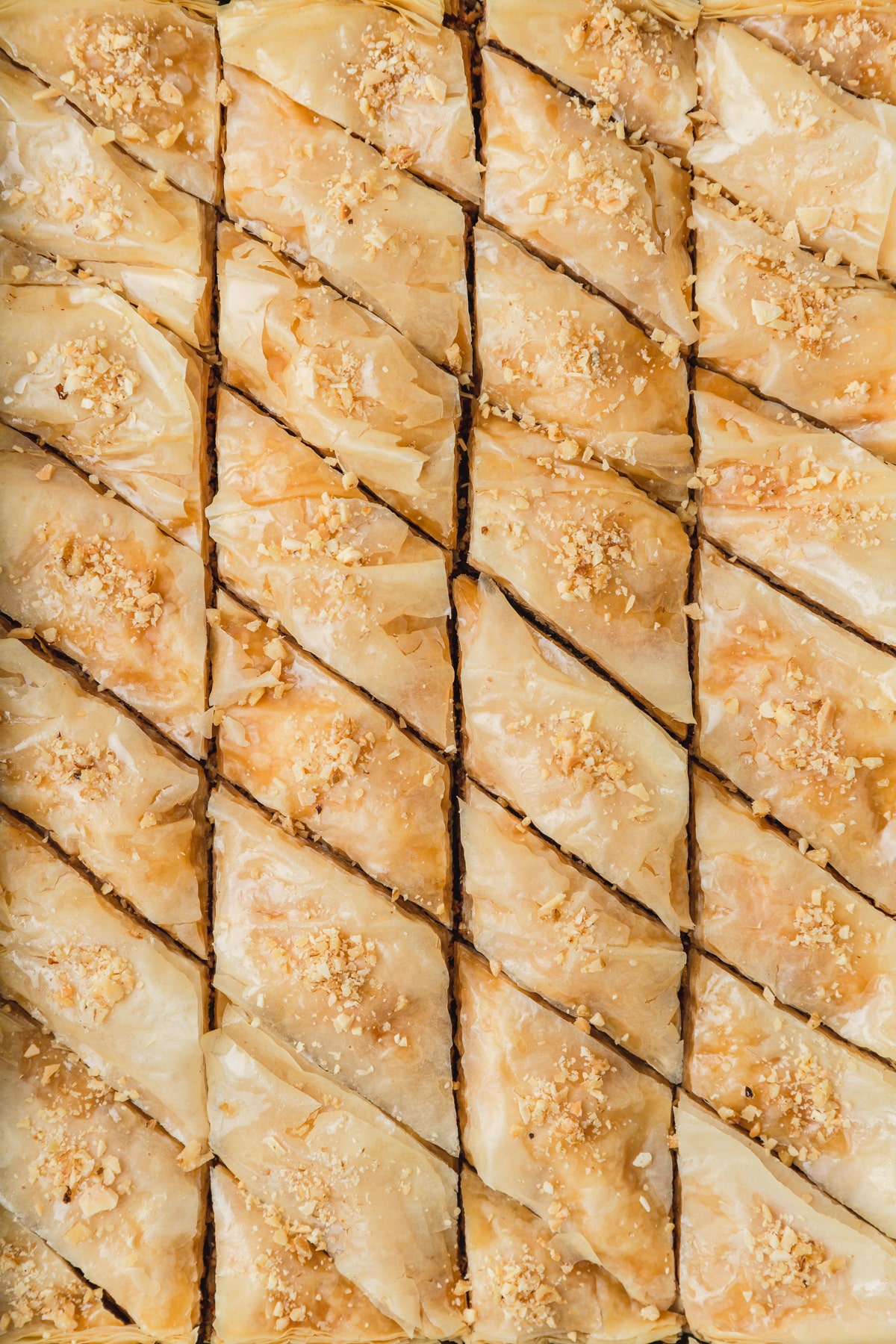 close up shot of tops of walnut baklava.