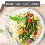 creamy orzo with summer vegetables pin.