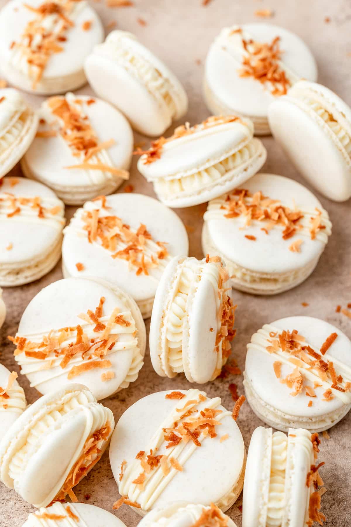 toasted coconut macarons with white chocolate. 