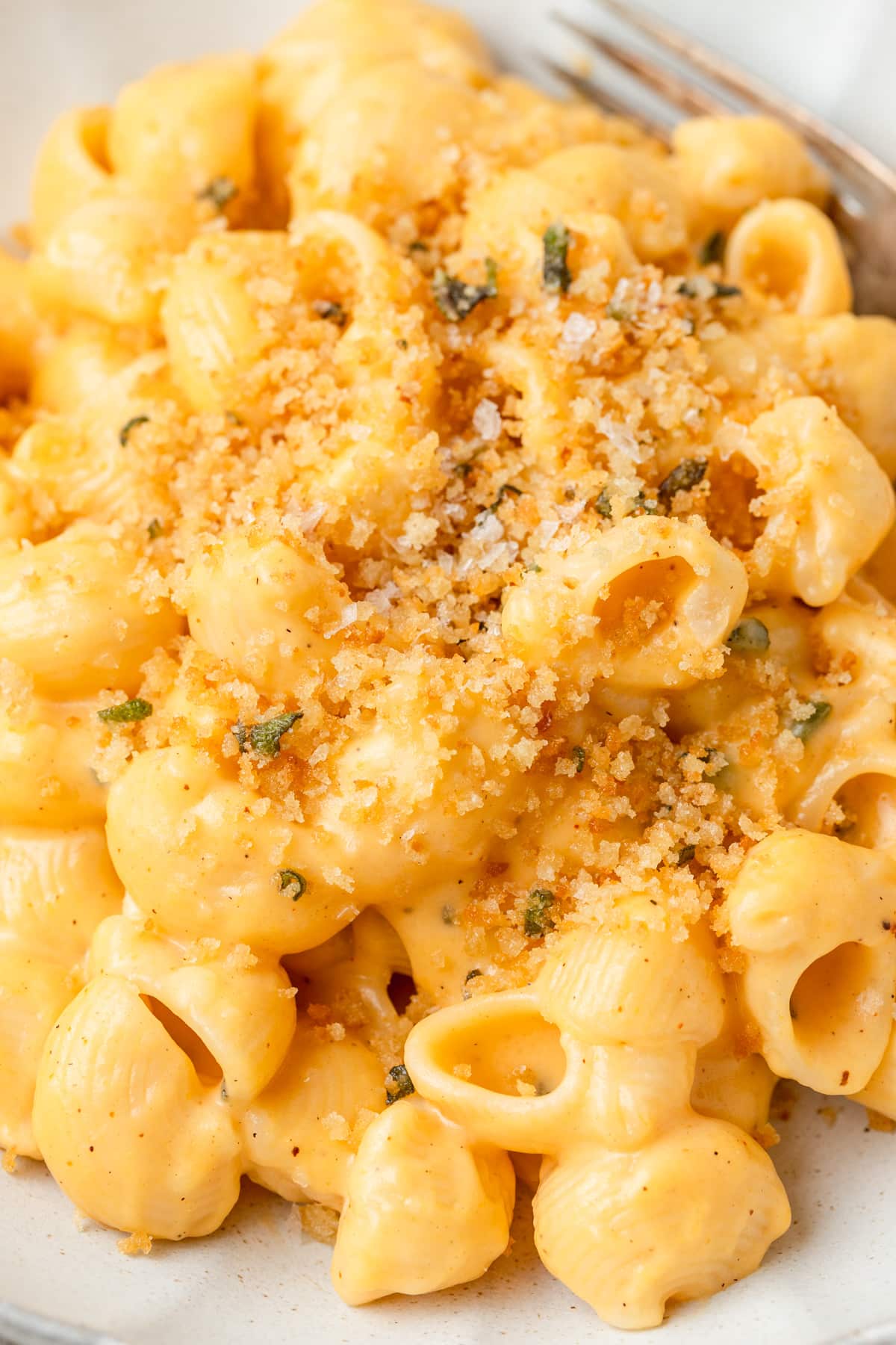 stovetop butternut squash mac and cheese.