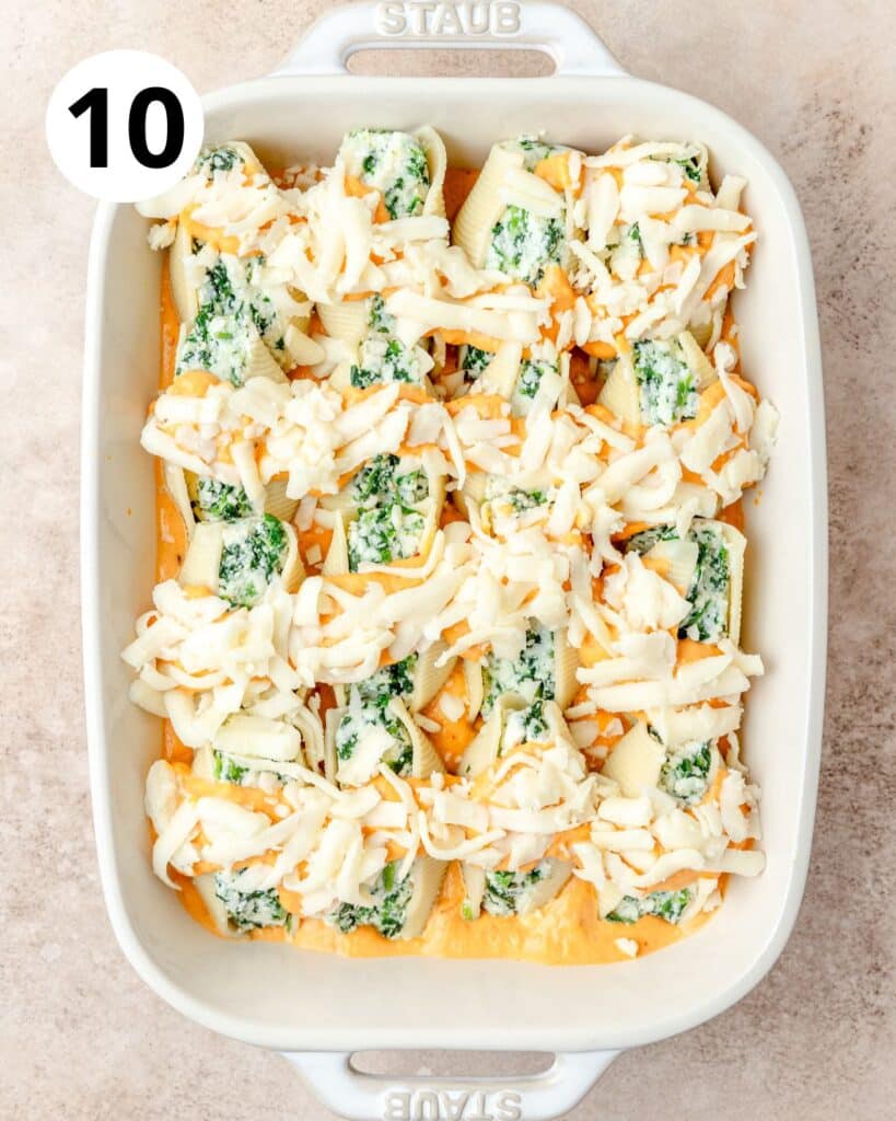 stuffed shells covered in pumpkin sauce and cheese.