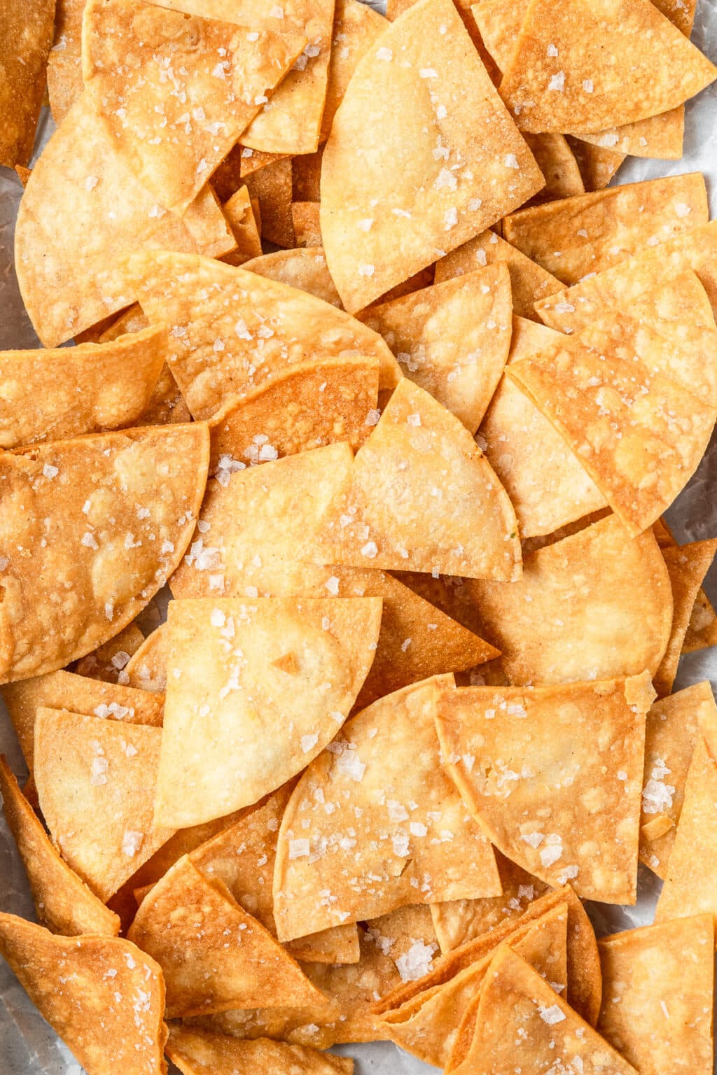 Homemade Corn Tortilla Chips Barley & Sage