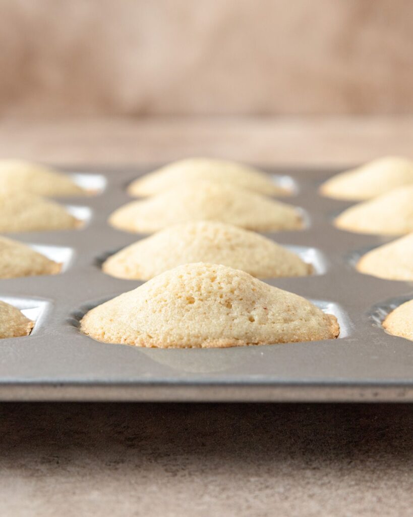 White Chocolate Madeleines Recipe Barley & Sage