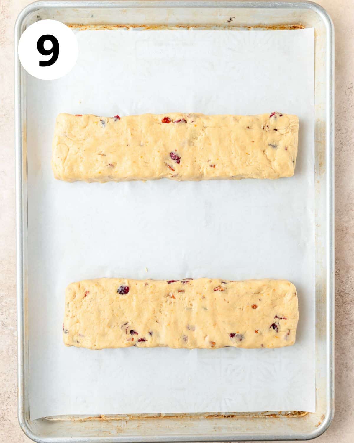 shaped logs of cranberry biscotti dough before baking. 