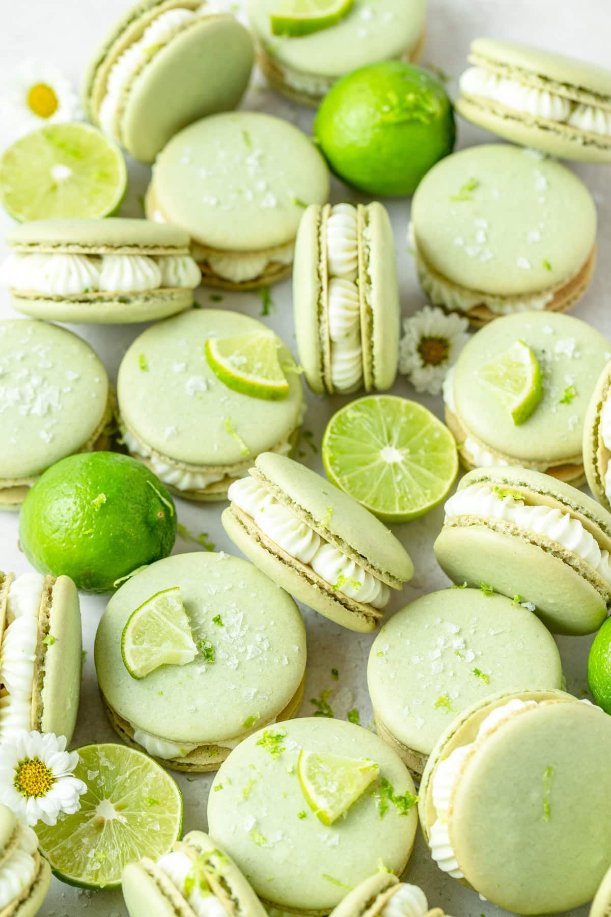 margarita macarons with tequila buttercream and flaky sea salt.