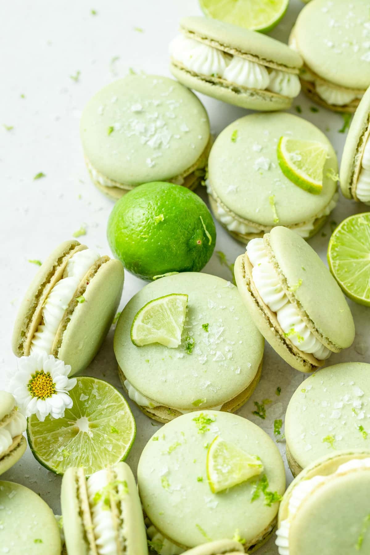 margarita macarons. 