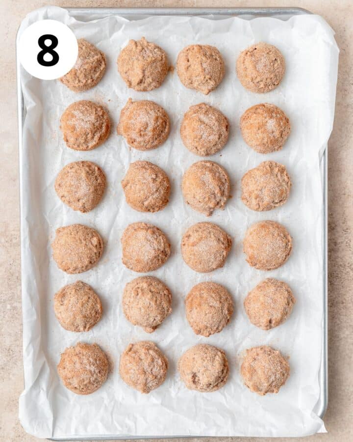 apple butter cookie dough rolled in cinnamon sugar.