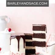 chocolate peppermint layer cake pin.